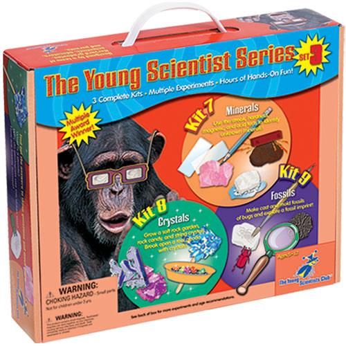 Minerals Crystal Fossils